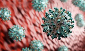 coronavirus